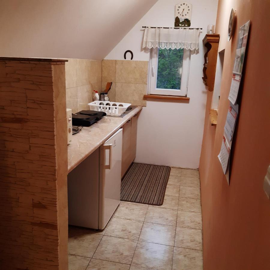 Agroturystyka Brzozowe Wzgorze Wlen Εξωτερικό φωτογραφία